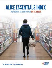 ALICE Essentials Index report cover