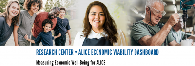 snippet of ALICE EVD Action Planner webpage